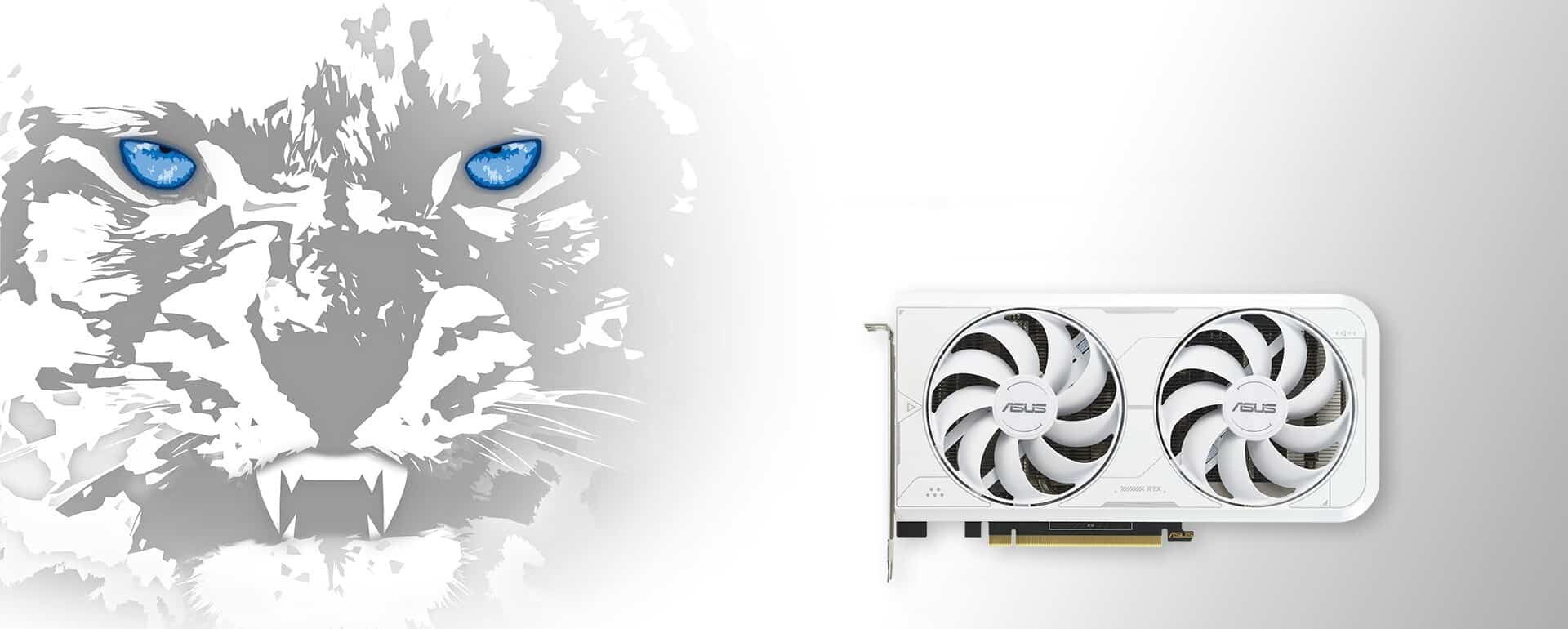 ASUS DUAL NVIDIA GeForce RTX 3060 Ti White OC Cover View