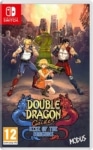 Double Dragon Gaiden: Rise of the Dragons Switch Box View